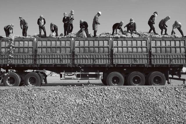 西海固：汗土上的新生