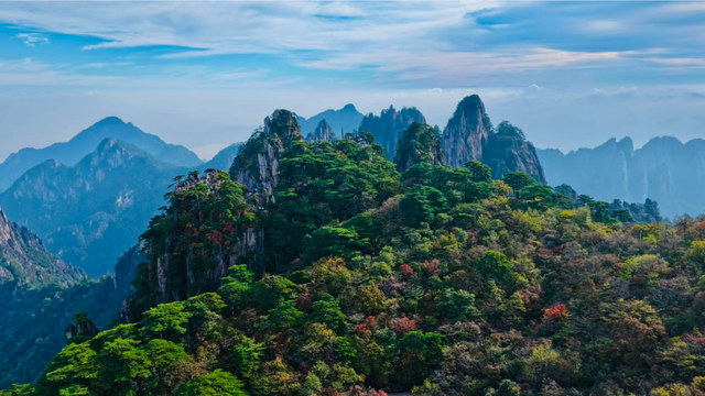 出片率100%！黄山风景区进入最佳赏秋期