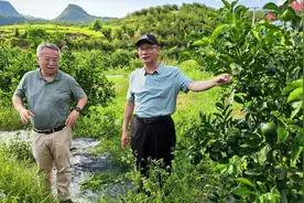 国家林草局生态建设工程管理中心到黔南州调研退耕还林提质增效工作图片