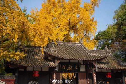 四川这份深秋限定浪漫，等你“淘”取！