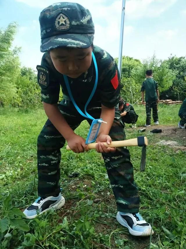 三水的秋天藏在这里！7个必去的研学打卡点，遛娃、学习、赏秋景全不误！