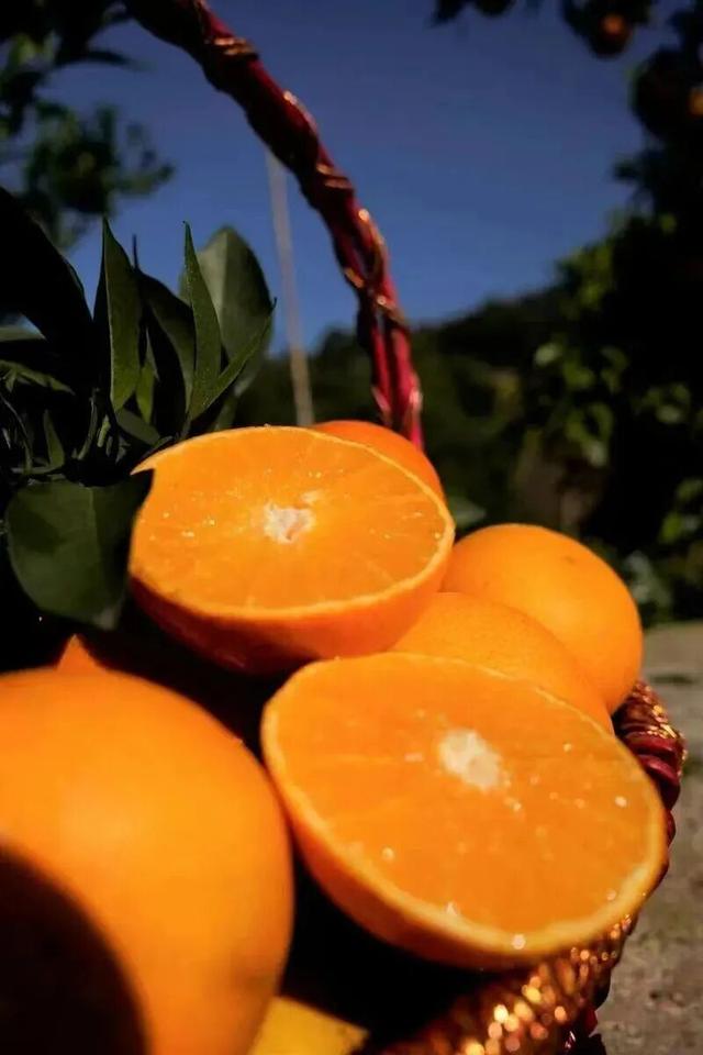 别再问年味去哪儿了！明天来叙永仙人洞，这碗刨猪汤等你来尝！