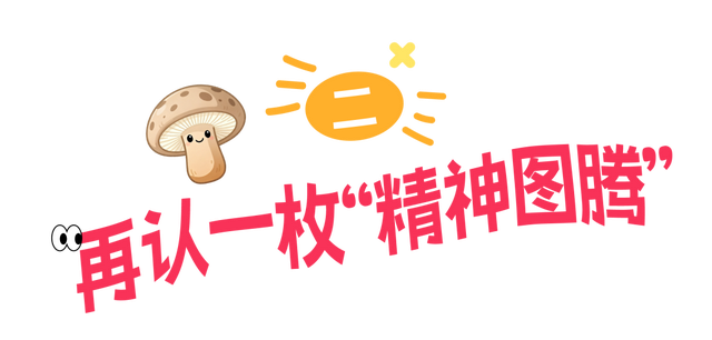 《中国国家地理》重磅推荐 | 探秘中国东部的菌物秘境
