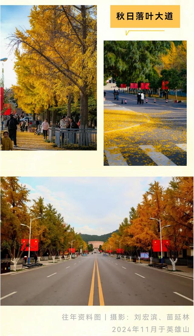 《2025济南赏银杏地图》出炉！一键收藏，赶快出发！