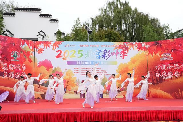 黄叶红花秋色浓，北宫国家森林公园迎来彩叶最佳观赏期