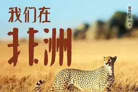 《我们在非洲》｜每日一书图片