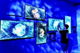 上线收费特展,文化场馆尝试“自我造血”图片