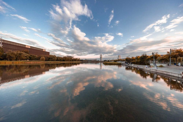 多彩京秋丨全市彩叶树变色率播报（2025.11.13）