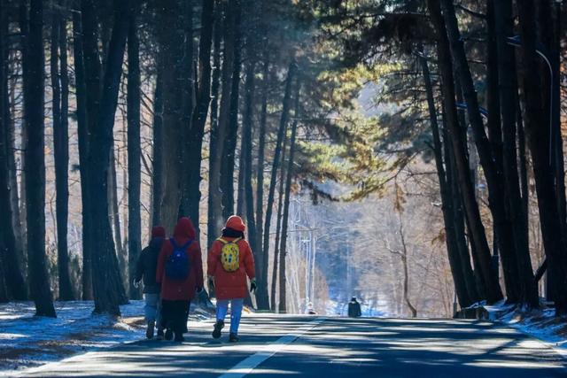 雪国净月 心归之处