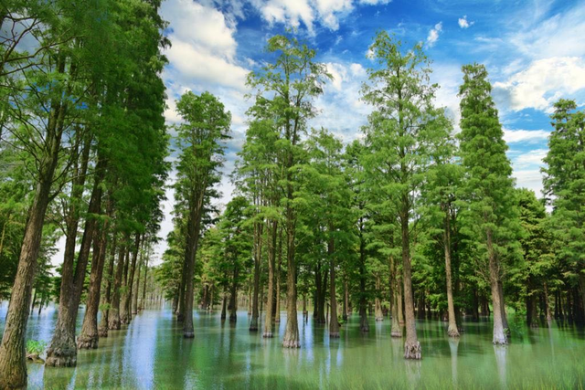 毛不易、欧阳靖空降！来2025上海青浦水岸音乐节，解锁吃喝玩乐新玩法