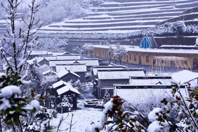 等来了！白河入冬第一场雪，竟藏着这样的景致