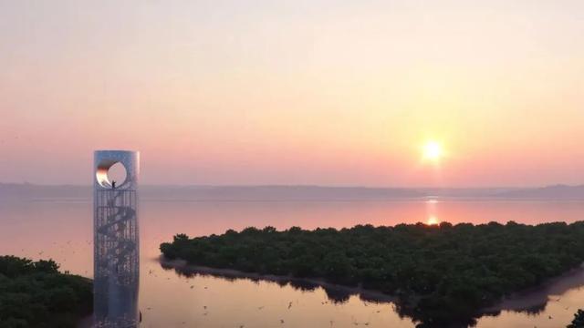 七夕限定 | 在红树林的光影里，镌刻爱情的海拔刻度
