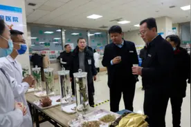 山东邹平中医特色诊疗守护民众健康图片