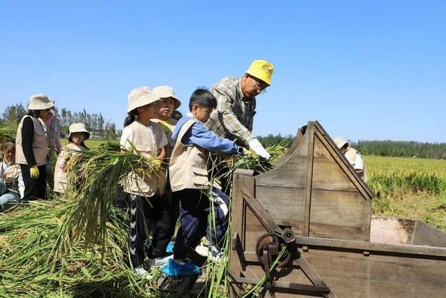 一脚踏进黄河画卷，济阳的秋冬太“上头”