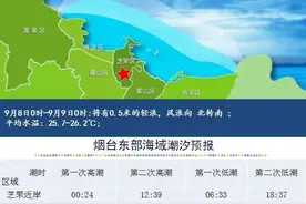 《御龙在天》新版本上线，烟台元素满满！图片