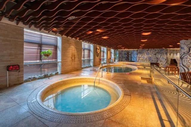 不如就来青岛过冬天！观鸥、看海、泡温泉……一起玩转山海