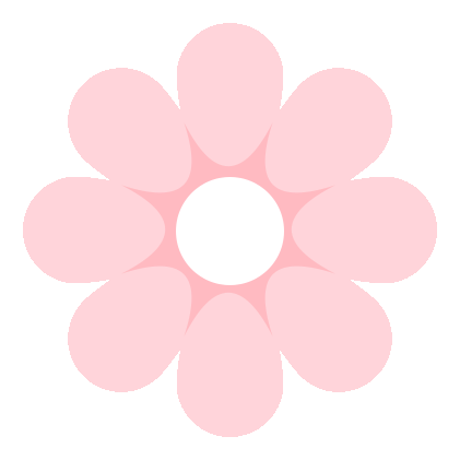 闽冬绝色，一场流动的盛宴🌺🌸❄️