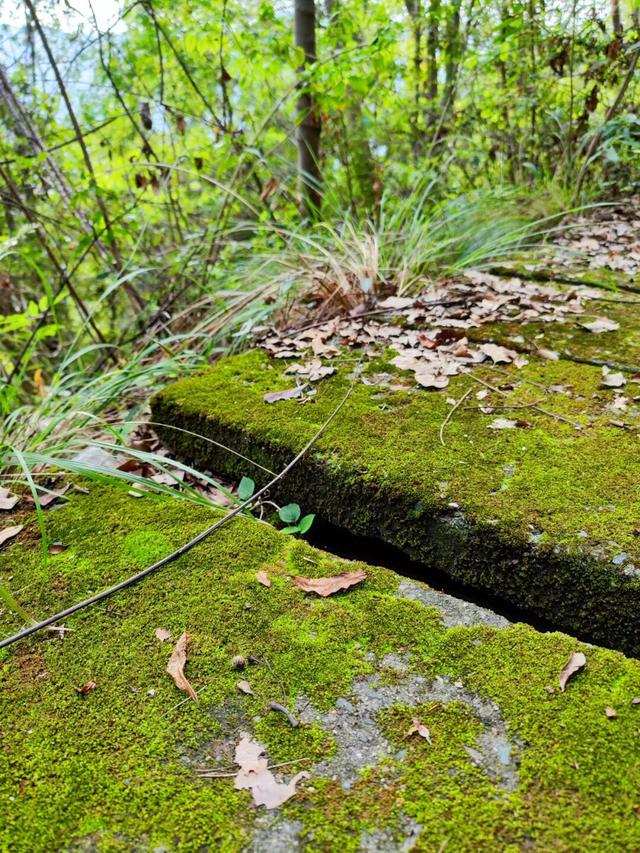 游天台山日记 + 椒江西山小行记
