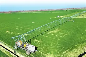 一粒小麦长长的“链” 春管新“智”汇系列⑥图片