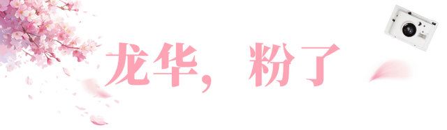 粉色花海，已开遍龙华