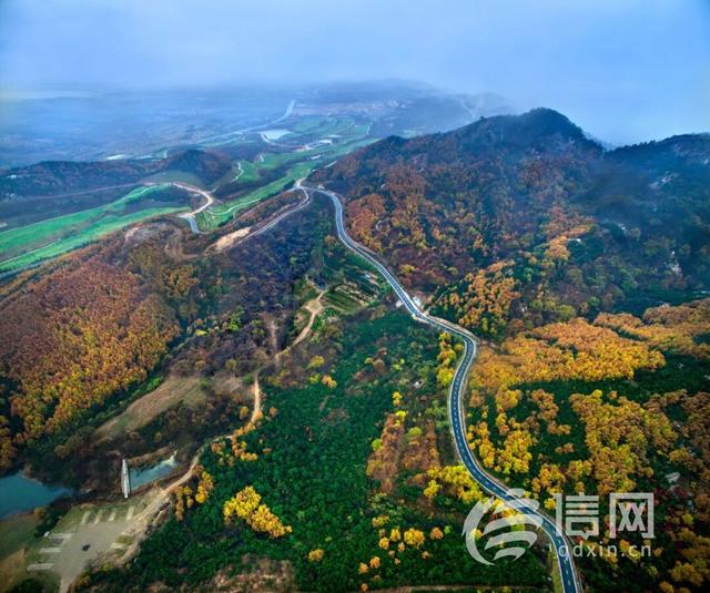 青岛推多条中医药康养旅游线路 邀您开启秋日疗愈之旅