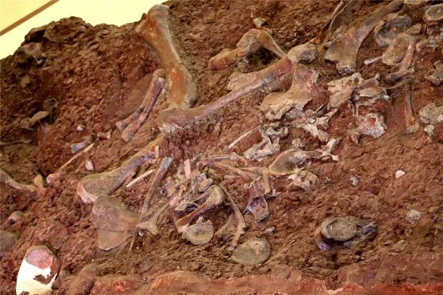 @巫溪球迷，去云阳看球赛，免费游景区!