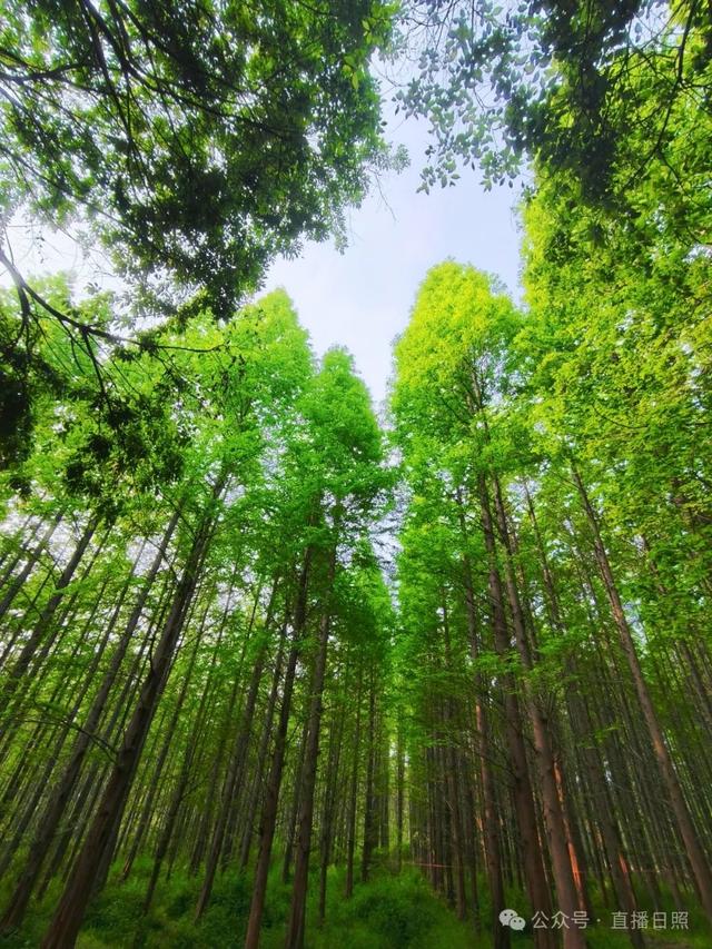 这么近，那么美，周末到_____！