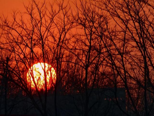 夕阳为京城加上金红色滤镜，绘就冬日诗意美景