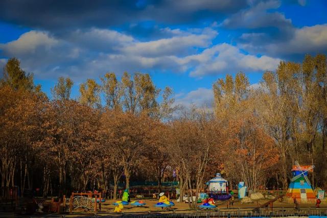 走一走 “森”呼吸