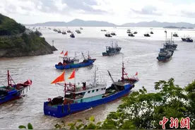 浙江象山石浦港千帆竞发 渔民出海寻鲜图片