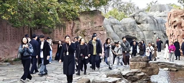 “诗道终南 心意长安”：曲江新区多维实践，让唐诗之都“活”起来