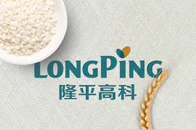 隆平高科：旗下联创种业转基因玉米品种市场需求旺盛，不会主动参与价格战图片