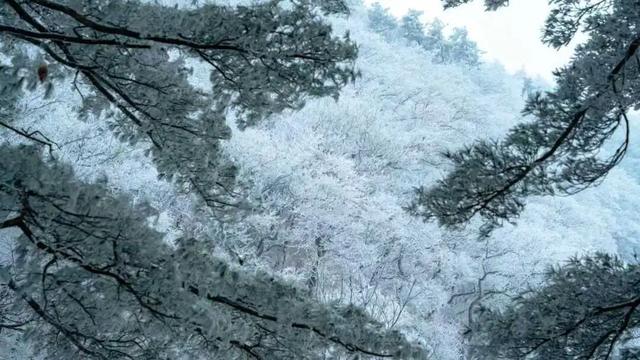 这个冬天，别再“猫冬”啦！300米超长滑道，来这开启嬉冰赏景的雪上之旅