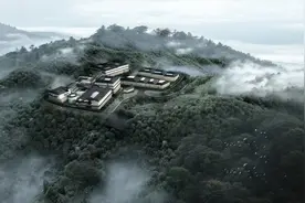 厉害了！永泰将生产青梅风味威士忌图片