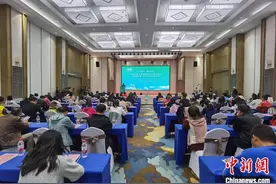 全国百余家文旅企业走进广西崇左 享边关风情觅合作商机图片