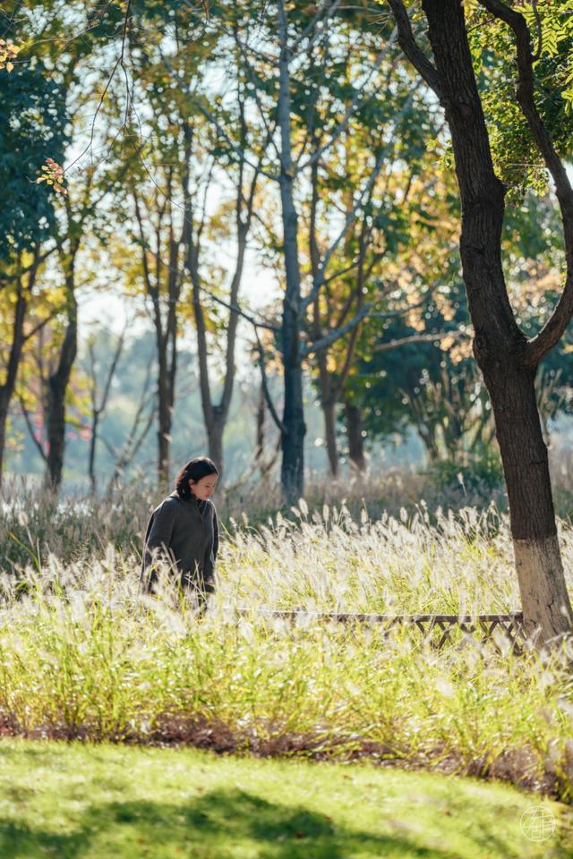 人少景美不绕路，东湖秋日彩蛋上新