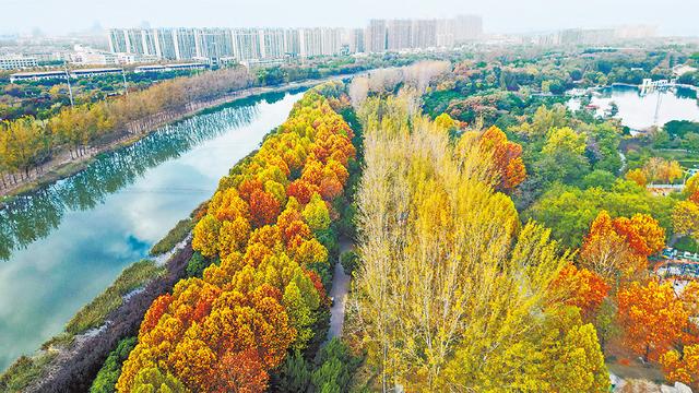 大运河河南段宝藏打卡地！秋日限定美景速来get～
