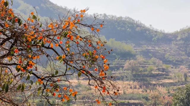 四季皆景，期待重逢！