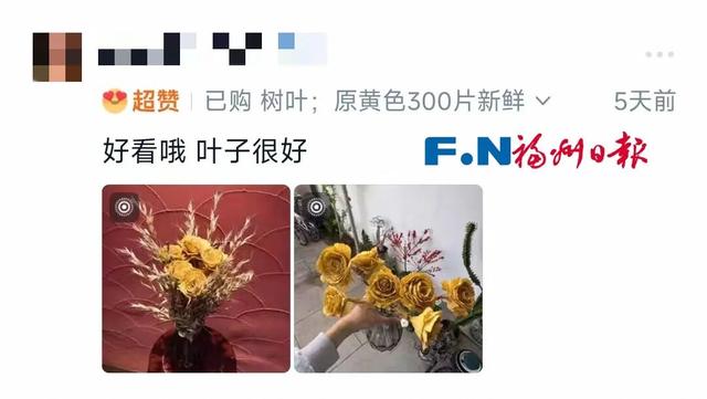 惊艳上线！福州这里变身“黄金村”！还有人靠它悄悄赚钱……