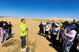 铸牢共同体 中华一家亲丨草方格，中国人发明的“治沙魔方”图片