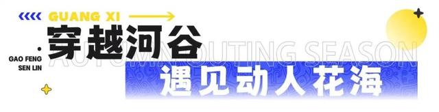 相约南宁！2025南宁森林苗寨印象·千年苗侗狂欢节！10月1日起送票啦！