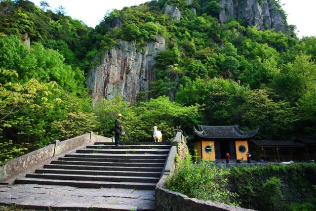 免票、打折！奉化教师们，这波福利别错过→