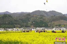 秦岭南麓的最美油菜花海：以花为媒图片