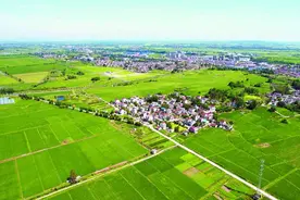 巢湖盛夏田园美如画图片