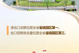 海报 | 2024年郴州经开区经济成色如何？一组海报了解图片