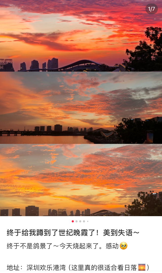 先锋在行动｜守护“一湾碧水” 让市民游玩体验更清新、更“出片”