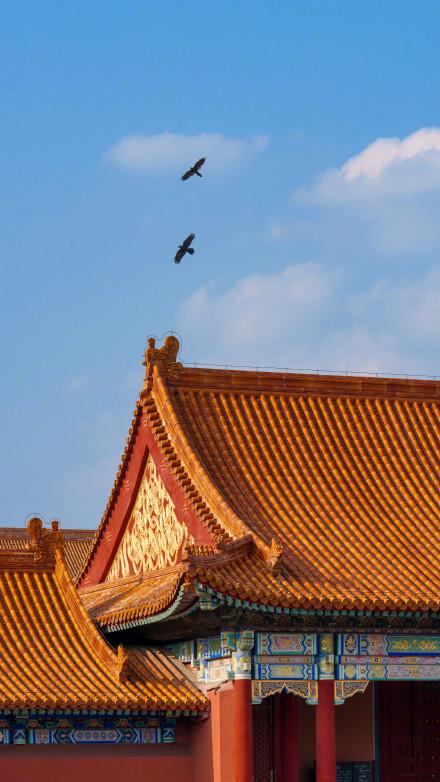 收藏壁纸！当故宫遇上秋天
