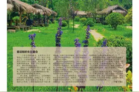 暑期露营  探寻都市人的心灵港湾图片