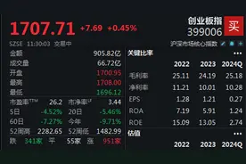 题材股重新活跃，创业板指半日涨0.45%图片