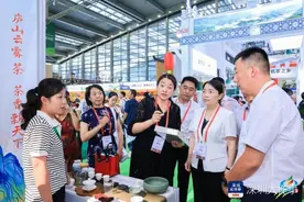 深圳茶博会接待全球采购商超万家，各地创新推介抢滩湾区市场图片